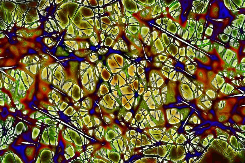 Тип мозговых клеток помогает объяснить успокаивающее влияние матери