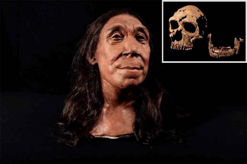 Итальянские антропологи изучили слепки зубов неандертальцев