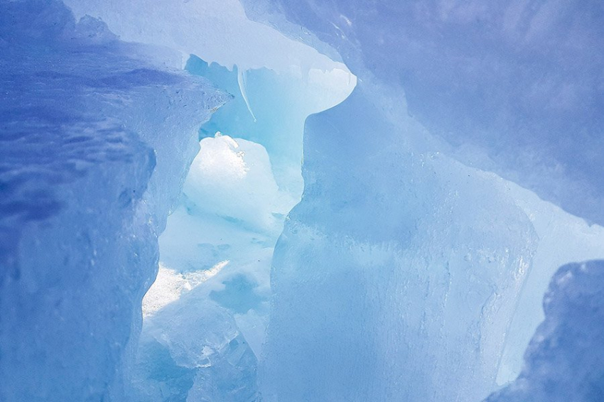 Адаптация вирусов к экстремальным условиям рассказывает об изменении климата