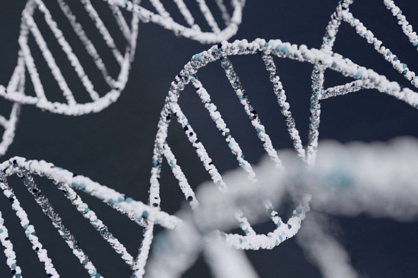 Ученые определили роль "генетических паразитов" в ДНК человека