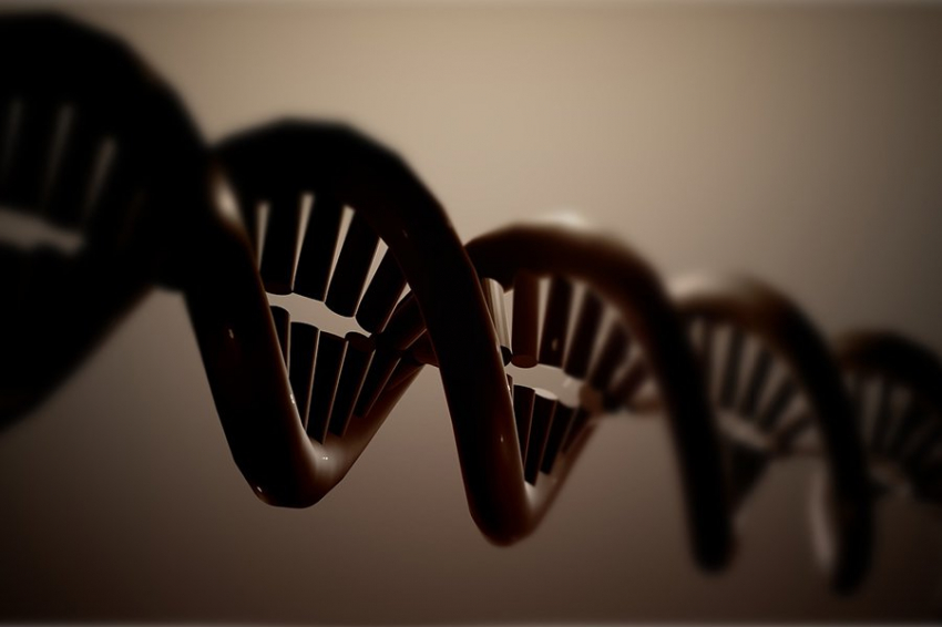 10 000-летняя ДНК человека проливает свет на историю населения Южной Африки