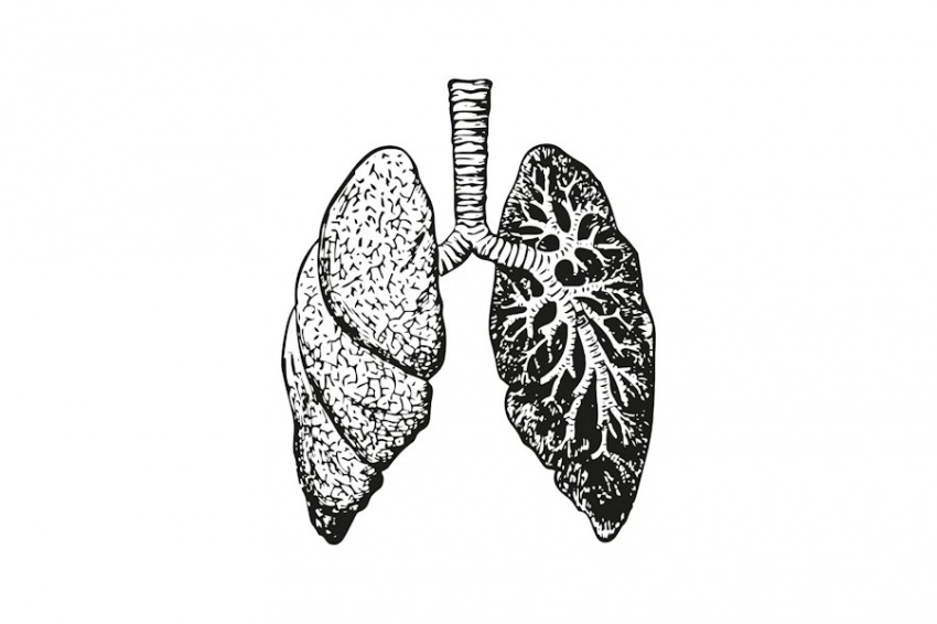 В США впервые провели полностью роботизированную двойную пересадку лёгких