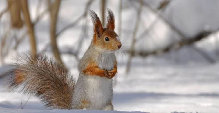 Какой сегодня праздник: 5 февраля отмечается несколько важных торжеств