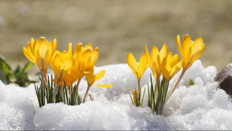 Какой праздник отмечают 15 марта 2025 года: важные для России и других стран события