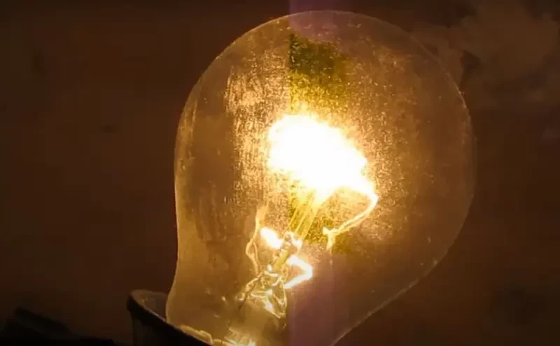 «Запутали экологи»: Нидерланды отказались ещё и от строительства крупнейшей электростанции на древесных гранулах после закрытия угольных электростанций