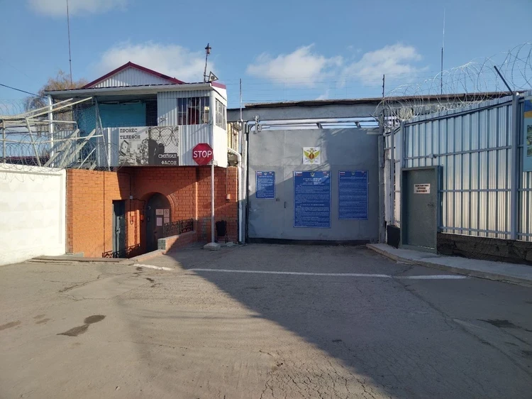 Адвокат рассказал о тайном освобождении Михаила Ефремова: Все было по закону, в перемещениях он не ограничен