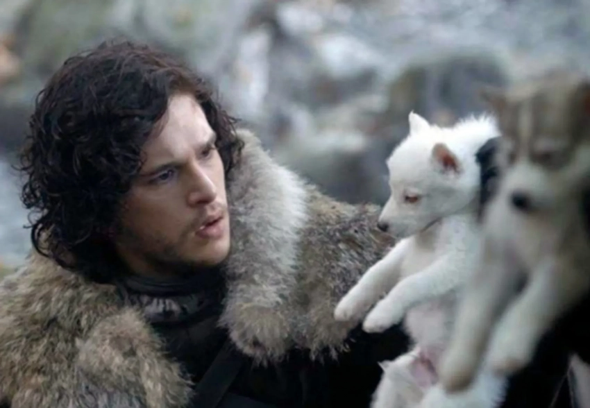 Ученые воссоздали вымерших лютоволков из сериала "Игра престолов". Кит Харингтон уже отреагировал на это