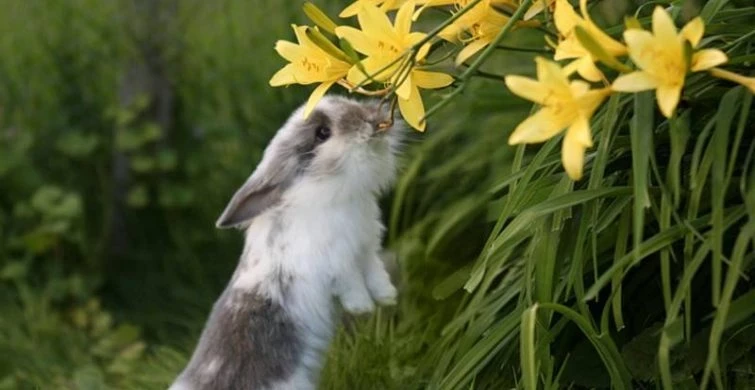 Проклов день 4 мая 2025 года известен интересными приметами, традициями и поверьями