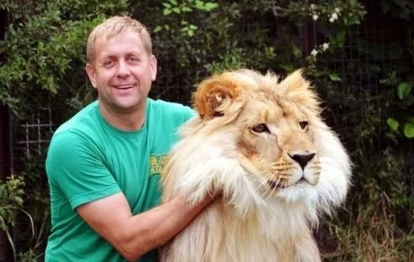 Львы напали на директора сафари-парка "Тайган" Олега Зубкова: стало известно состояние здоровья