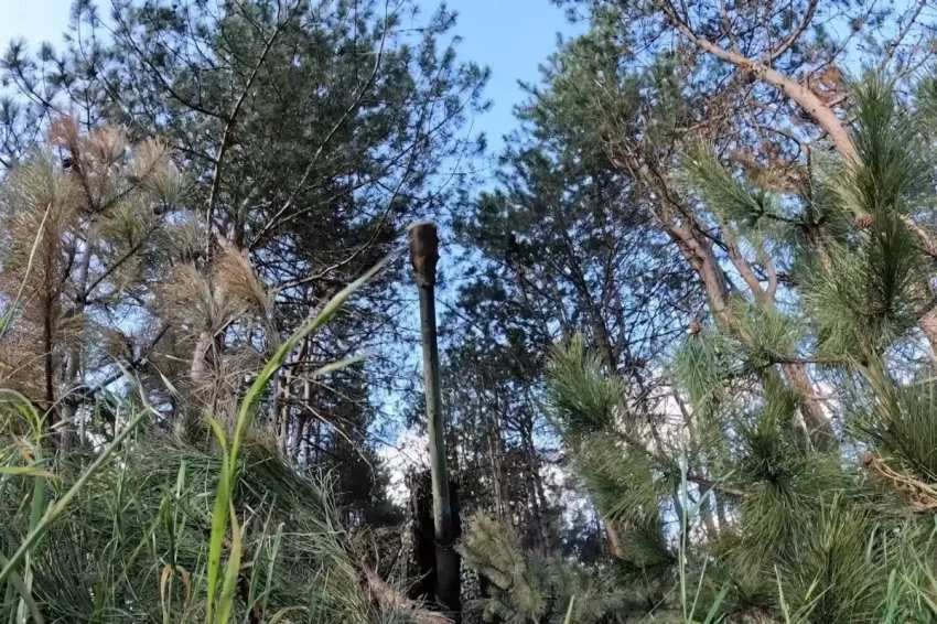 ВСУ рискуют потерять в ближайшее время обширную территорию на востоке Харьковской области