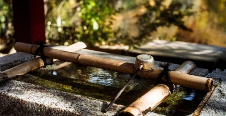 Очистка воды для дома из колодца — особенности, преимущества и важные нюансы