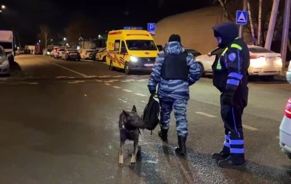 В районе Орехово-Борисово на юге Москвы сработало ещё одно СВУ: погибли два сотрудника ДПС